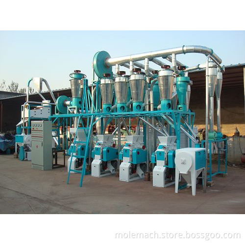 22t/24h Wheat Flour Milling Plant